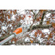 Аккумуляторный высоторез STIHL HTA 50 (LA020116404)